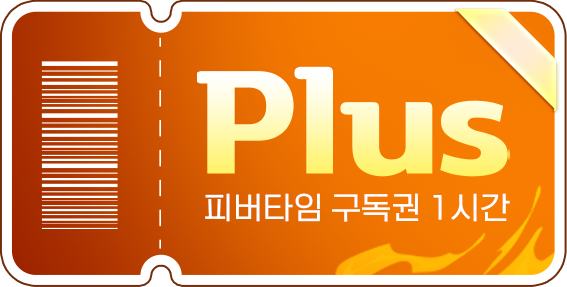 피버타임이용권